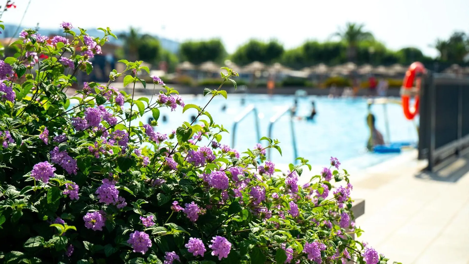 Camping Riembau Platja d'Aro Campsite